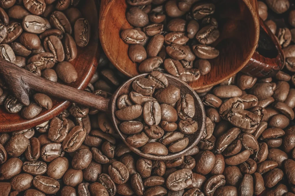 arabica02 arabica02