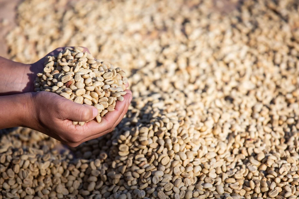 naturalcoffee