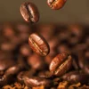Robusta Kahvesi Nedir ? 15 robustakare