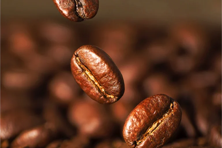 Robusta Kahvesi Nedir ? 25 robustakare